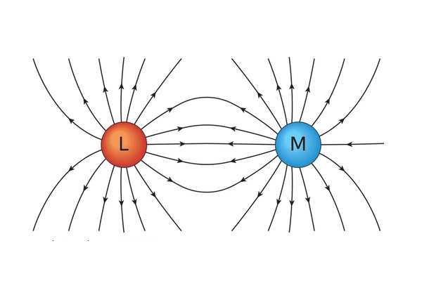 GravitationalElectrostaticForces