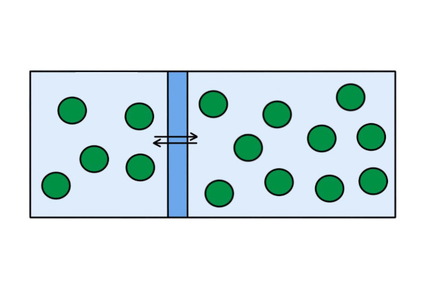 chemicalsystemequilibrium