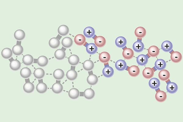 Protected: Polar and Non-polar Substances Interaction Lab